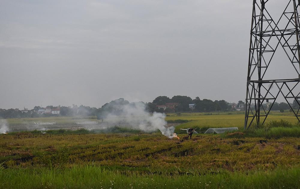 Tại nhiều thửa ruộng sau thu hoạch lúa, người dân chất rơm phơi trên gốc rạ. Khi rơm héo, rạ cũng ráo chân thì người dân châm lửa đốt