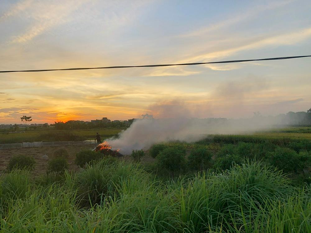 UBND TP.Hà Nội cũng đã có Chỉ thị số 15/CT-UBND về việc tăng cường các biện pháp quản lý nhà nước đối với hoạt động đốt rơm rạ, phụ phẩm cây trồng và chất thải khác không đúng quy định nhằm giảm thiểu tác động tiêu cực đến môi trường thành phố. Tuy nhiên đến nay, việc đốt rơm rạ vẫn diễn ra thường xuyên sau mỗi mùa vụ.
