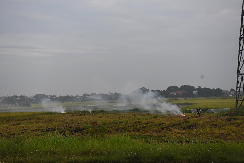 Theo báo cáo của Tổng Cục môi trường, Bộ Tài nguyên và Môi trường, đốt rơm rạ cũng là nguyên nhân gây ô nhiễm không khí, nhất là chiều tối, ban đêm khi có sương xuống.