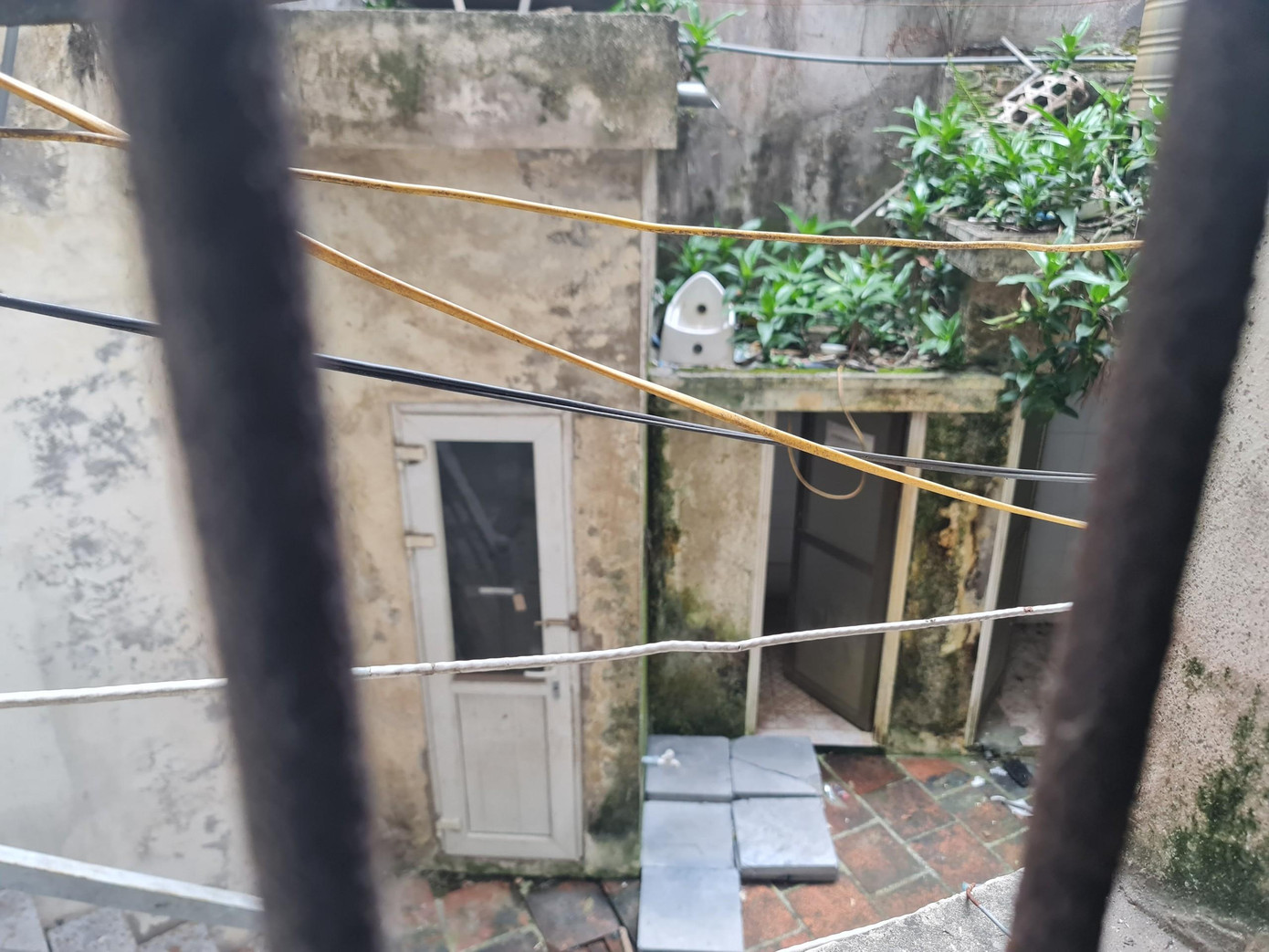 Khu vệ sinh chung của biệt thự nằm dưới tầng 1 của tòa nhà