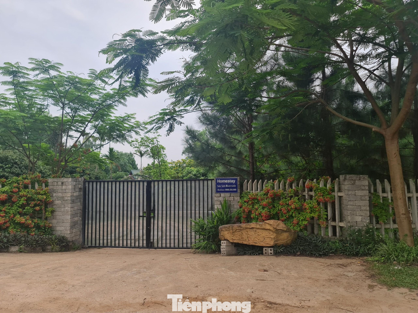 Xã Minh Phú được coi là "điểm nóng" của vi phạm đất rừng, đến nay thực sự là "trung tâm du lịch nghỉ dưỡng" với gần 20 biệt thự nghỉ dưỡng, nhà hàng tập trung quanh trục gần hồ Phú Nghĩa.