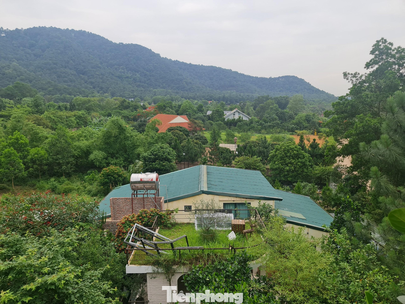 UBND huyện Sóc Sơn đã ban hành một số văn bản nghiêm cấm mọi hành vi chuyển nhượng, tặng cho, chuyển quyền sử dụng đất, chuyển mục đích sử dụng đất trái quy định, san gạt, hạ thấp mặt bằng và xây dựng công trình trái phép thuộc phạm vi đất quy hoạch nhưng theo ghi nhận thực tế chính quyền xã Minh Phú đã không thực hiện theo chỉ đạo của huyện mà còn buông lỏng quản lý khiến tình trạng xây dựng trái phép, lấn chiếm đất rừng nở rộ.