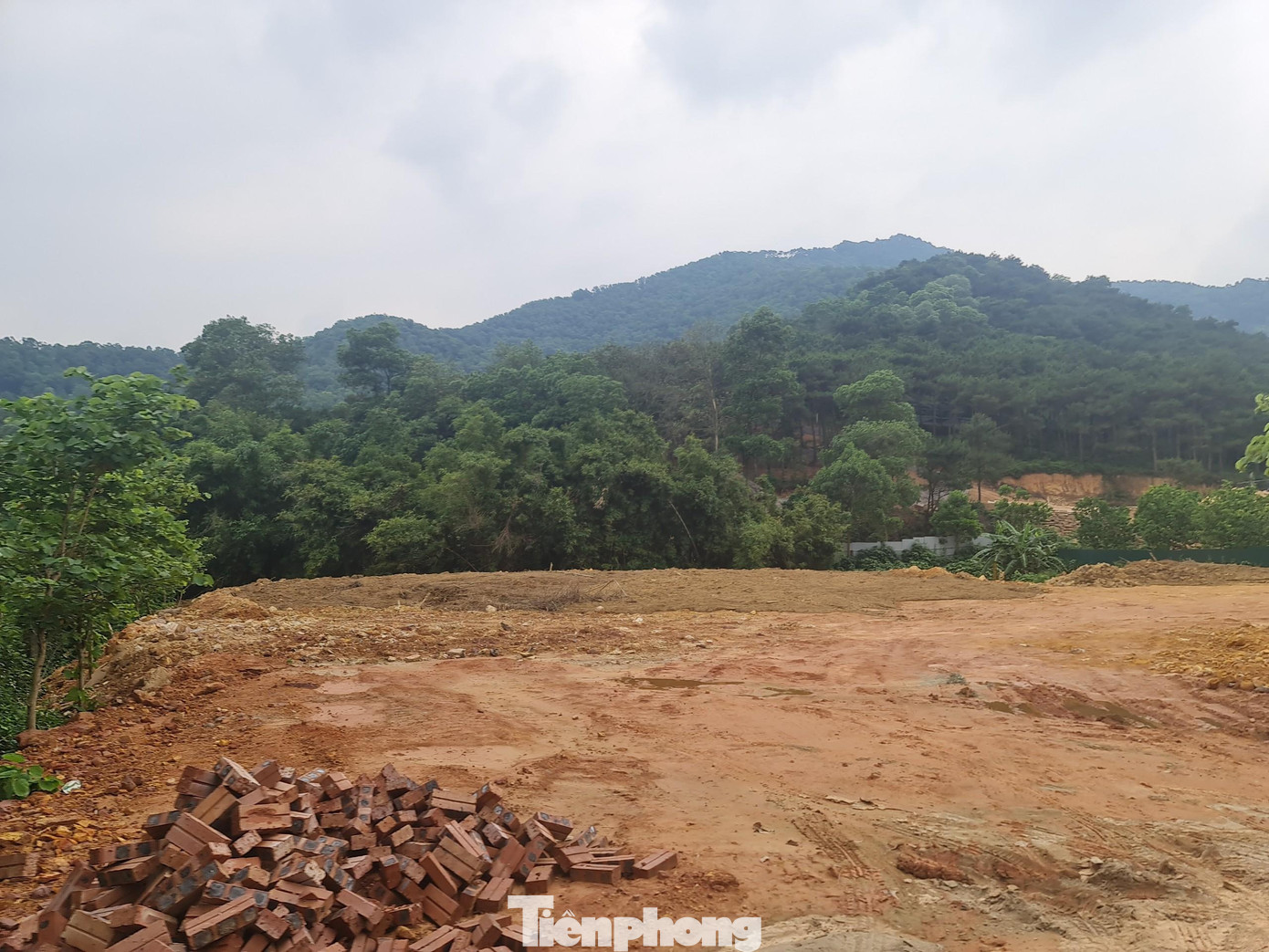 Nhiều khu đất bị san phẳng chuẩn bị cho việc xây dựng