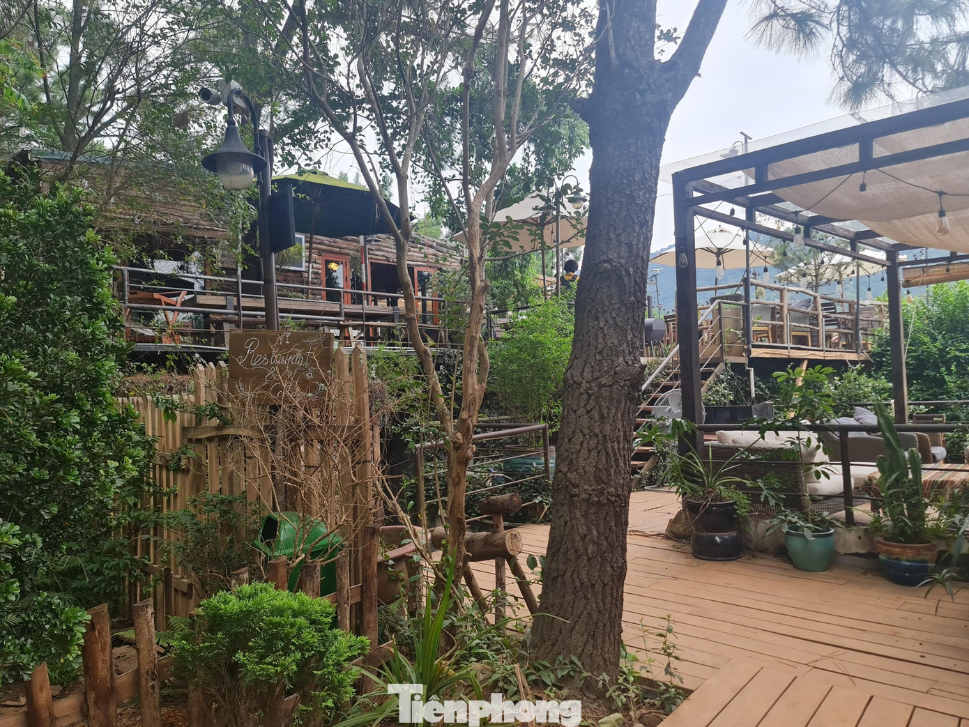 Trong khi đó, đất rừng, đất lâm trường tại xã Minh Phú vẫn hàng ngày bị xâm lấn, xây dựng tràn lan