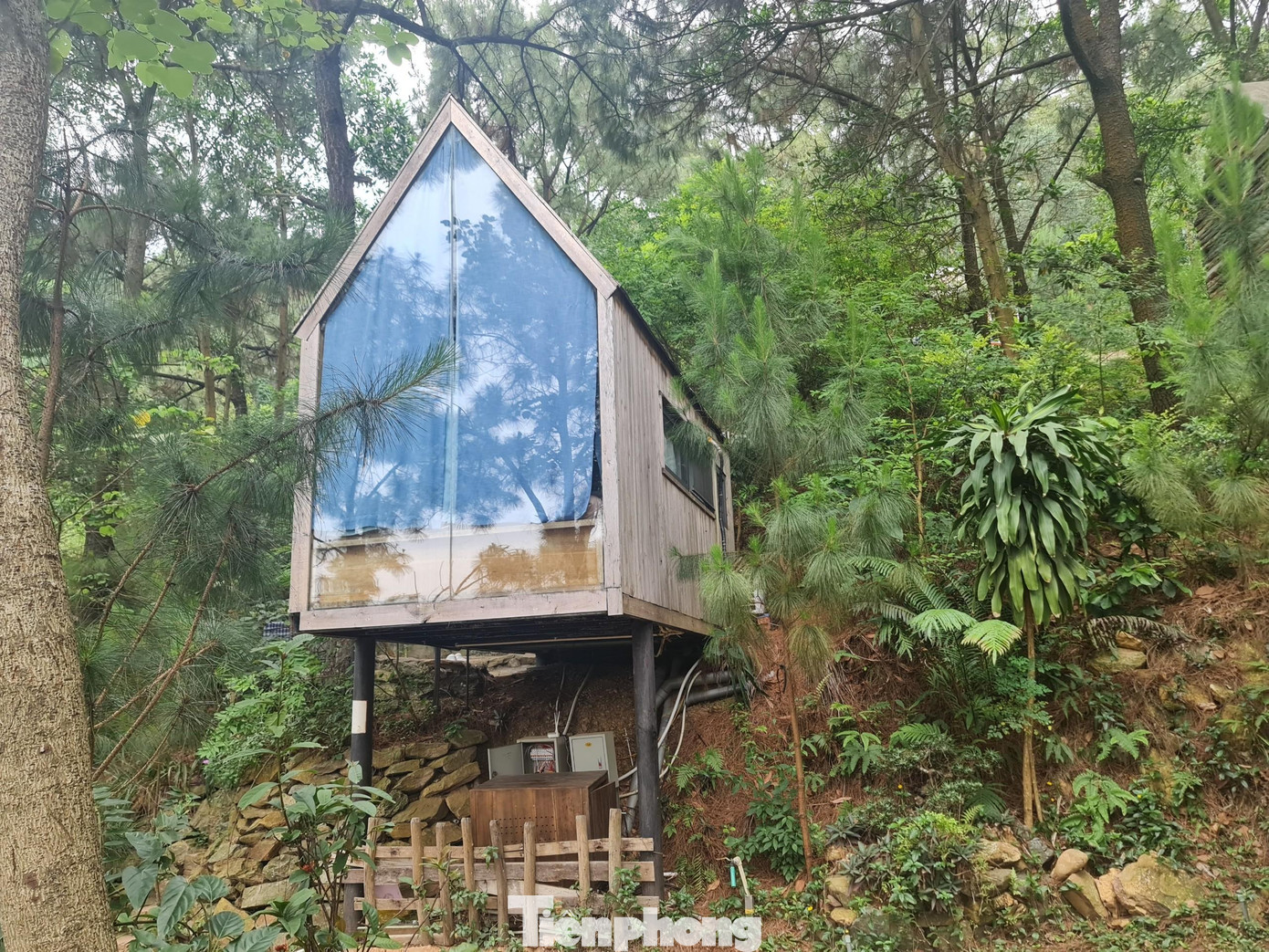 Tại đây, hàng loạt biệt thự đang được cấp tập xây dựng. Rừng thông được san gạt, xây dựng nhà hàng, quán cafe và hàng loạt nhà thép tiền chế dựa lưng vào núi.