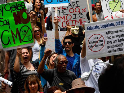 Hàng trăm người biểu tình đổ xuống các đường phố Los Angeles (Mỹ) hôm 25/5 để hưởng ứng chiến dịch toàn cầu lên án Monsanto và thực phẩm biến đổi gene. Ảnh: Los Angeles Times