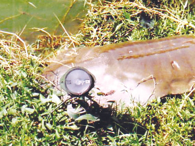 Cụ Rùa trên lưng chi chít các vết thương nghi do bị đập bằng vật cứng và lưỡi câu chùm. Cụ Rùa trên lưng chi chít các vết thương nghi do bị đập bằng vật cứng và lưỡi câu chùm