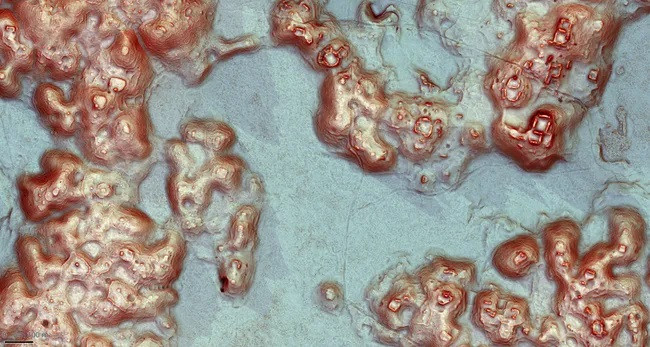 Thành phố được phát hiện ở phía đông-trung tâm Campeche ẩn mình bên cạnh những tòa nhà hiện đại và đường cao tốc. (Ảnh: Luke Auld-Thomas, Antiquity Publications Ltd; CC BY 4.0 )