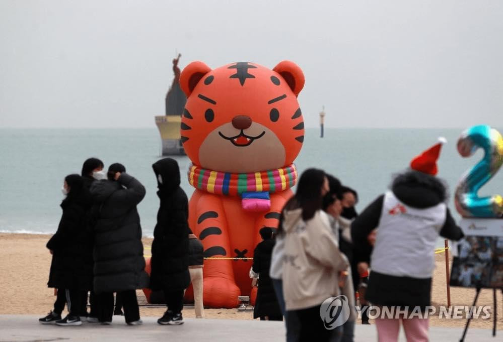 Chú hổ dễ thương trên bãi biển, ít nhiều gì người ta cũng sẽ thấy vui vẻ hơn trong dịp đầu năm.