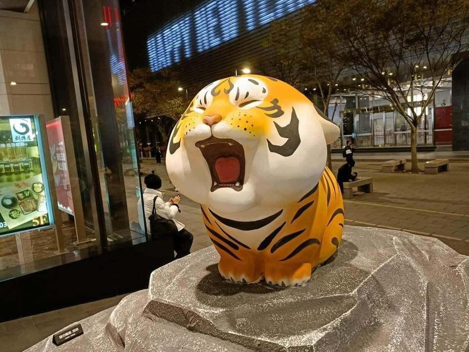 Đây hẳn là chú hổ được netizen &quot;thả tim&quot; nhiệt tình vì không thể nào đáng yêu hơn.