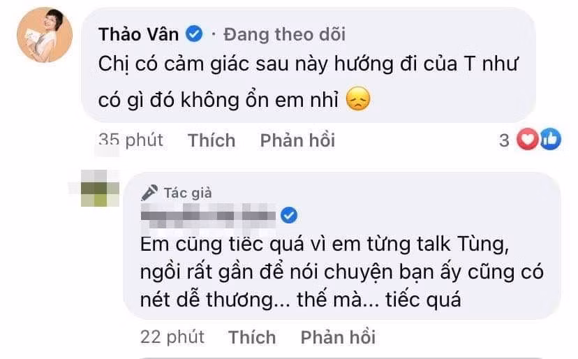 Bên dưới một bài viết, MC Thảo Vân cho rằng hướng đi của Sơn Tùng M-TP đang "có gì đó không ổn". Ảnh: FBNV