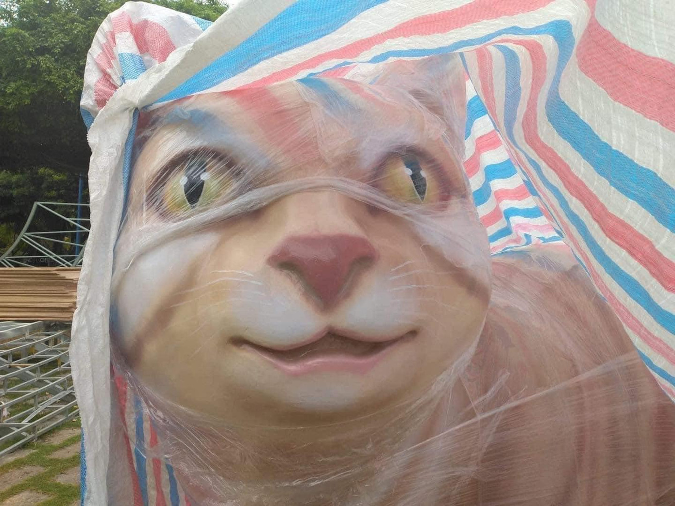 Biểu cảm thân thiện của linh vật đến từ Vũng Tàu. Biểu cảm thân thiện của linh vật đến từ Vũng Tàu.