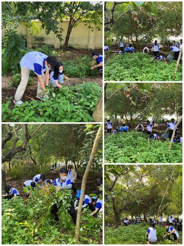 Các bạn sinh viên tích cực dọn dẹp khuôn viên trường để tạo không gian học tập xanh - sạch - đẹp. Nguồn: Page Đoàn Trường Đại học Văn Hóa TP.HCM Các bạn sinh viên tích cực dọn dẹp khuôn viên trường để tạo không gian học tập xanh - sạch - đẹp. Nguồn: Page Đoàn Trường Đại học Văn Hóa TP.HCM