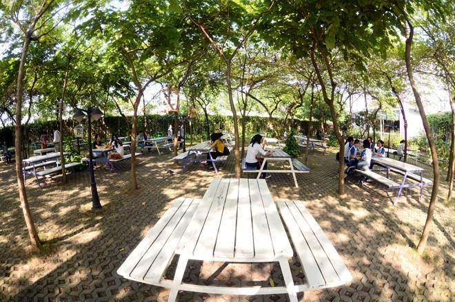 Ngồi thư giãn tại vườn sinh viên có tiếng nhạc du dương và vô vàn loài chim khác nhau cùng đua tiếng hót 