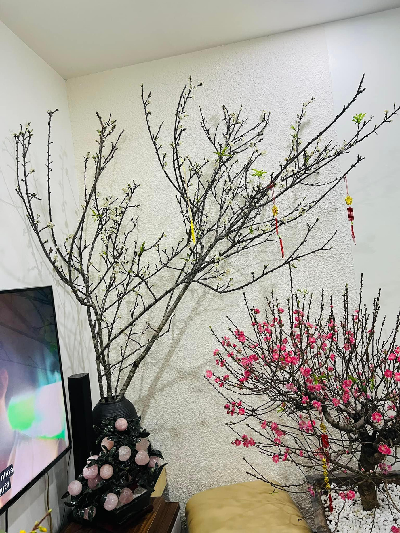 Bà xã của "Cô Đẩu" mua khá nhiều đào và mận để chưng Tết. Bà xã của "Cô Đẩu" mua khá nhiều đào và mận để chưng Tết.