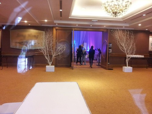 Trong khi đó, chú rể Loz bận rộn kiểm tra lại các công đoạn chuẩn bị cuối cùng (Ảnh: Khám phá). 