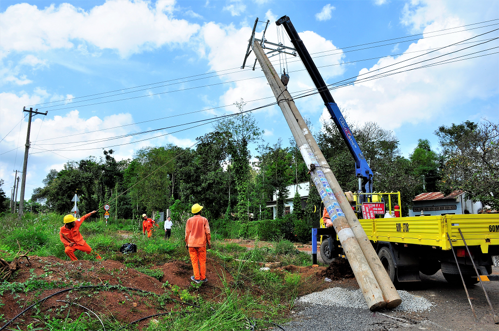 Công ty Điện lực Đồng Nai đầu tư lưới điện vùng nông thôn