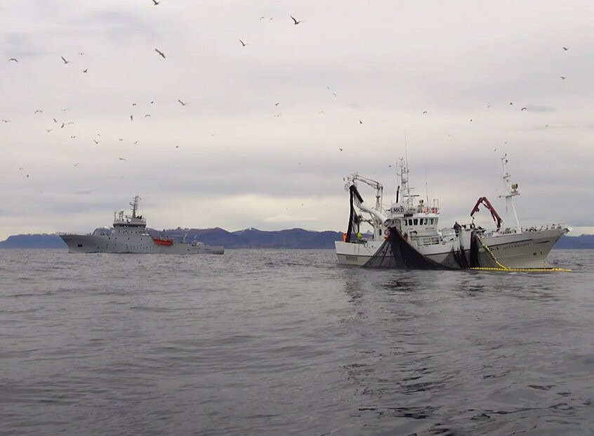 Sự hiện diện của Cảnh sát biển Na Uy góp phần duy trì các hoạt động đánh bắt bền vững trên biển. (Ảnh: Guro Storskjær).