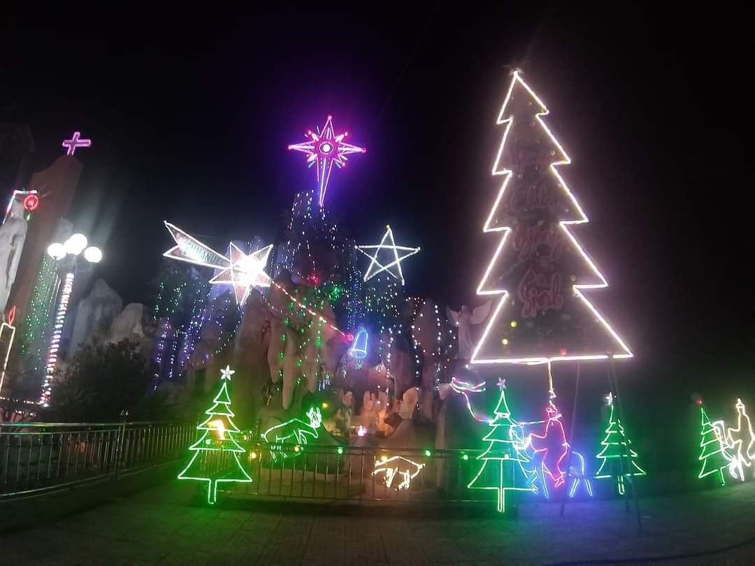 Cả nước tưng bừng đón chào Giáng sinh 2020 ảnh 33