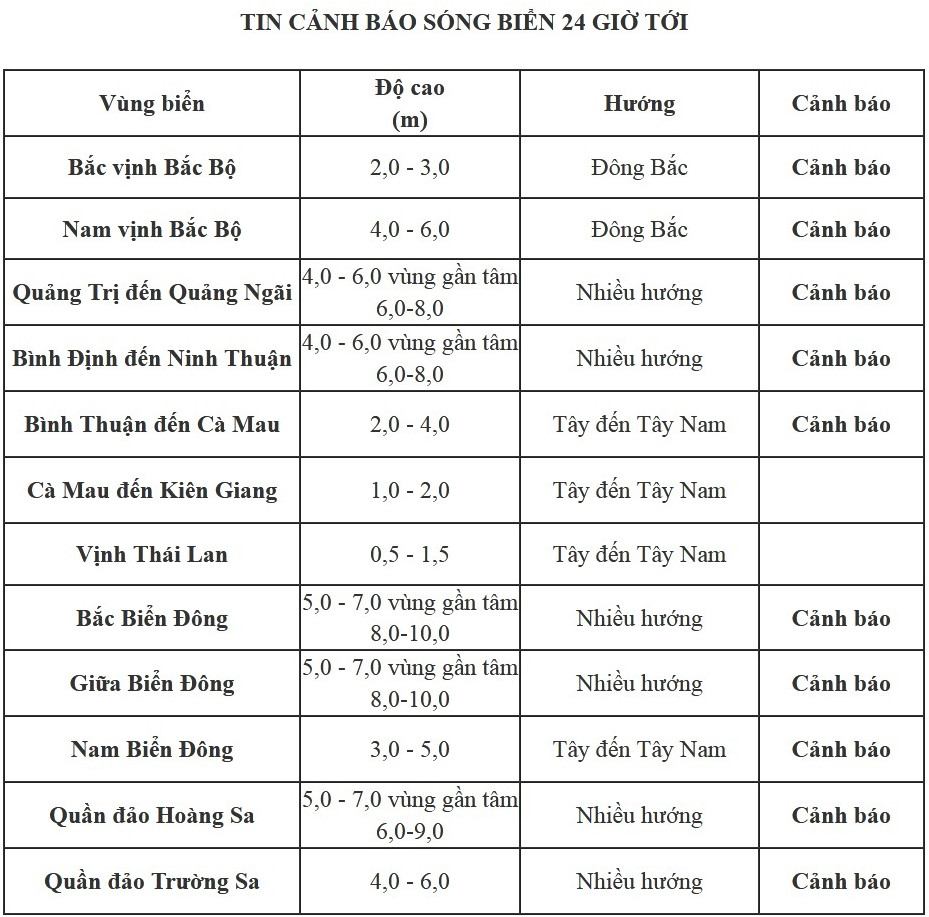Bão số 9 áp sát, Quảng Ngãi mưa lớn, gió rít từng hồi ảnh 6