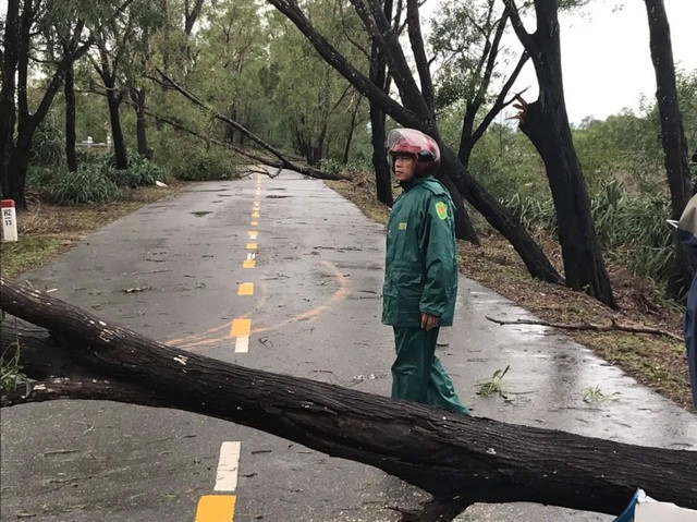 Bão số 13 đổ bộ Quảng Bình, Hà Tĩnh ảnh 7