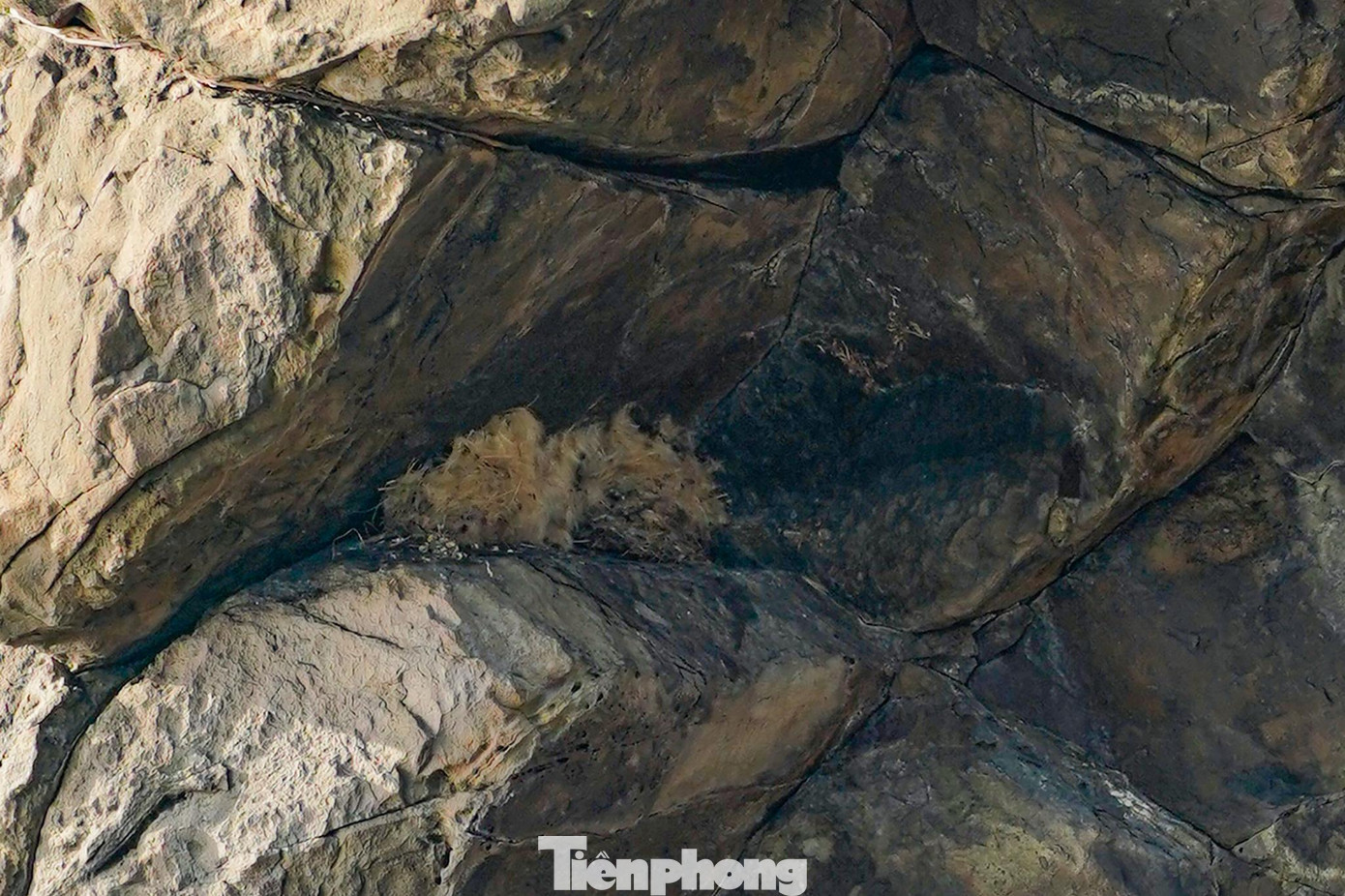 Nếu may mắn, bạn sẽ được ngư dân chỉ chỗ có tổ yến tự nhiên.