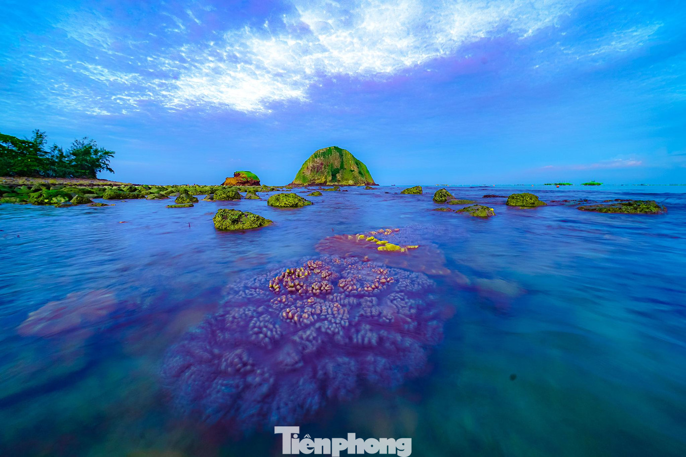 Nếu đi đúng dịp rằm, du khách sẽ được ngắm nhìn bãi san hô nhô lên khỏi mặt nước.