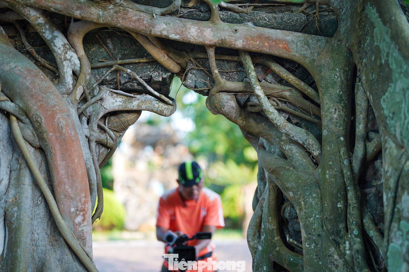 Đền thờ Lương Văn Chánh nằm ở địa hình thông thoáng, phía trước là sông Bến Lội, phía sau là núi Cấm. Trong khuôn viên còn có cây bồ đề cổ thụ cành lá xum xuê, che mát cả một góc đền, được Hội Bảo vệ thiên nhiên và môi trường Việt Nam công nhận là cây Di sản Việt Nam năm 2014.