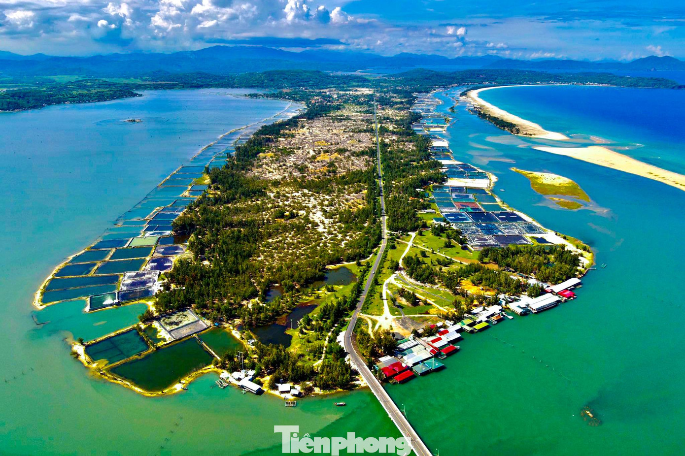 Đầm Ô Loan: &quot;Lấy chi vui với thu tàn/Phú Câu cước cá, Ô Loan miếng hàu&quot; là câu hát du khách bạn sẽ được nghe khi về với đầm Ô Loan.