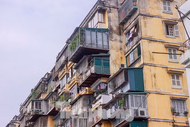 Khách hàng 'đội nắng' đòi nhà, Khánh Hòa tự 'sáng tác' loạt dự án... ảnh 6
