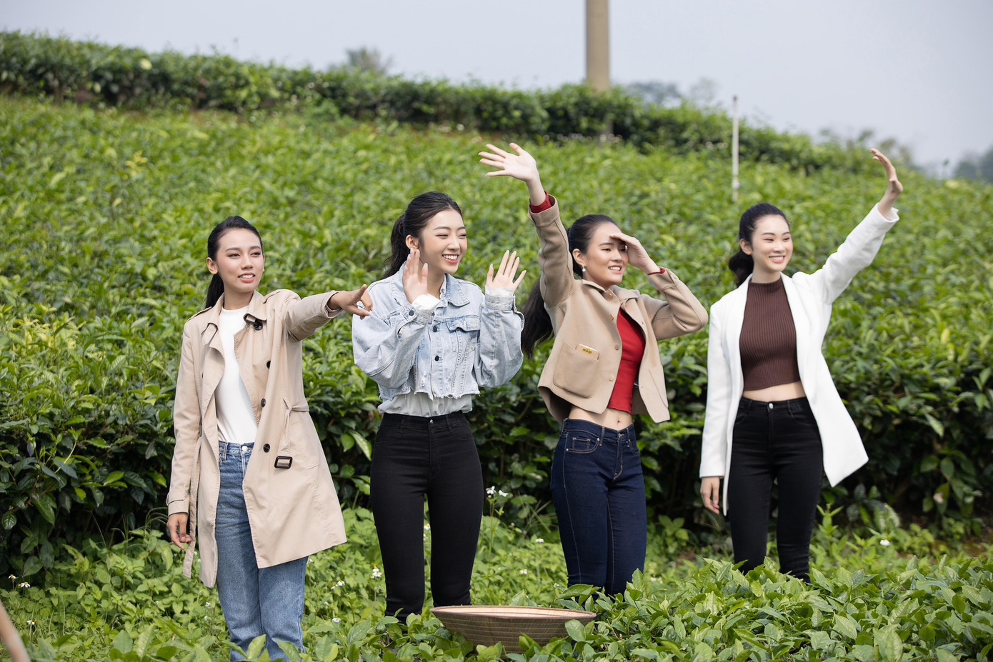 Và không quên đi thăm thú, thưởng thức đặc sản chè Thái Nguyên.