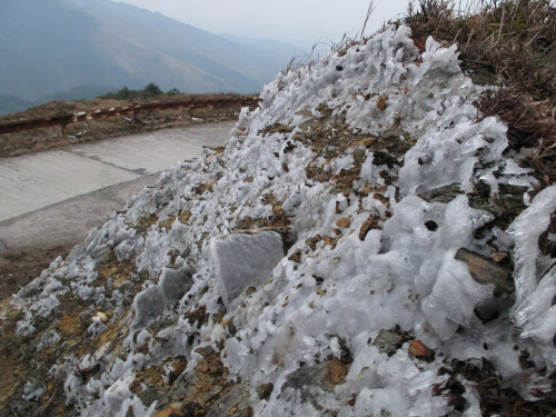 Ảnh: Reds.vn Ảnh: Reds.vn