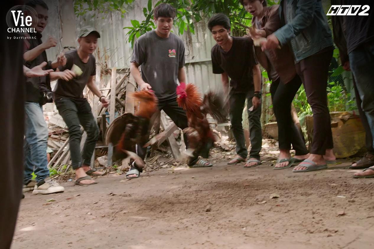 Ngà chỉ thích chọi gà, cá độ không thích làm việc nặng nhọc vì &quot;tay búp măng làm không nổi&quot;