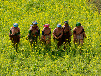 Chiều biên giới. Chiều biên giới