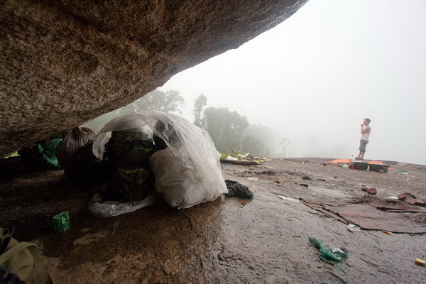 Một thanh niên đứng ngóng cảnh sương mù dày đặc bao phủ núi Gộp Ngà trước khi cùng bạn quyết định đi vào khu vực đào kỳ nam cách đó vài trăm mét