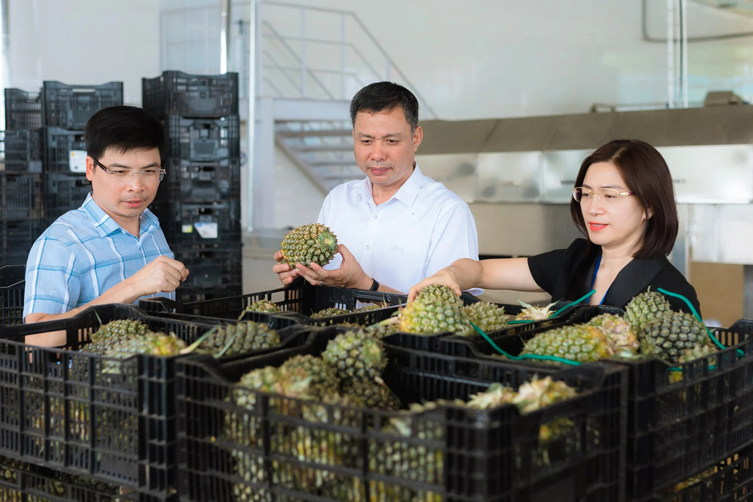 Những điểm Doveco đặt nhà máy không chỉ tạo công ăn việc làm, góp phần phát triển kinh tế- xã hội địa phương, thúc đẩy kinh tế nông nghiệp theo hướng hàng hóa, quy mô lớn