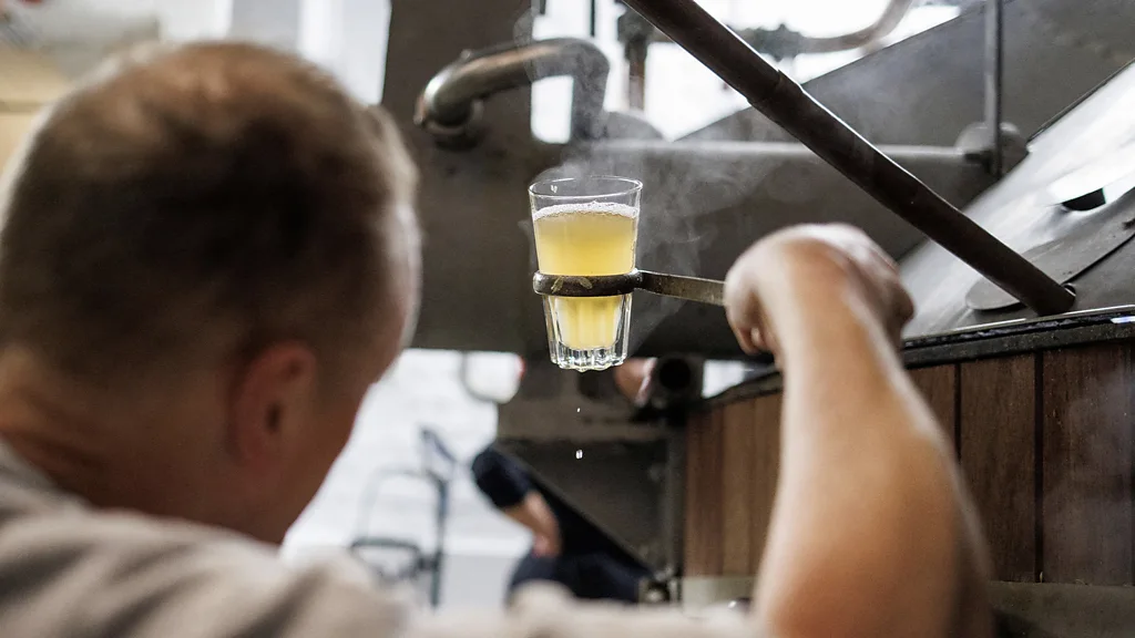 Nồng độ axit alpha trong hoa bia, tạo nên hương vị đắng đặc trưng của bia, đang giảm dần