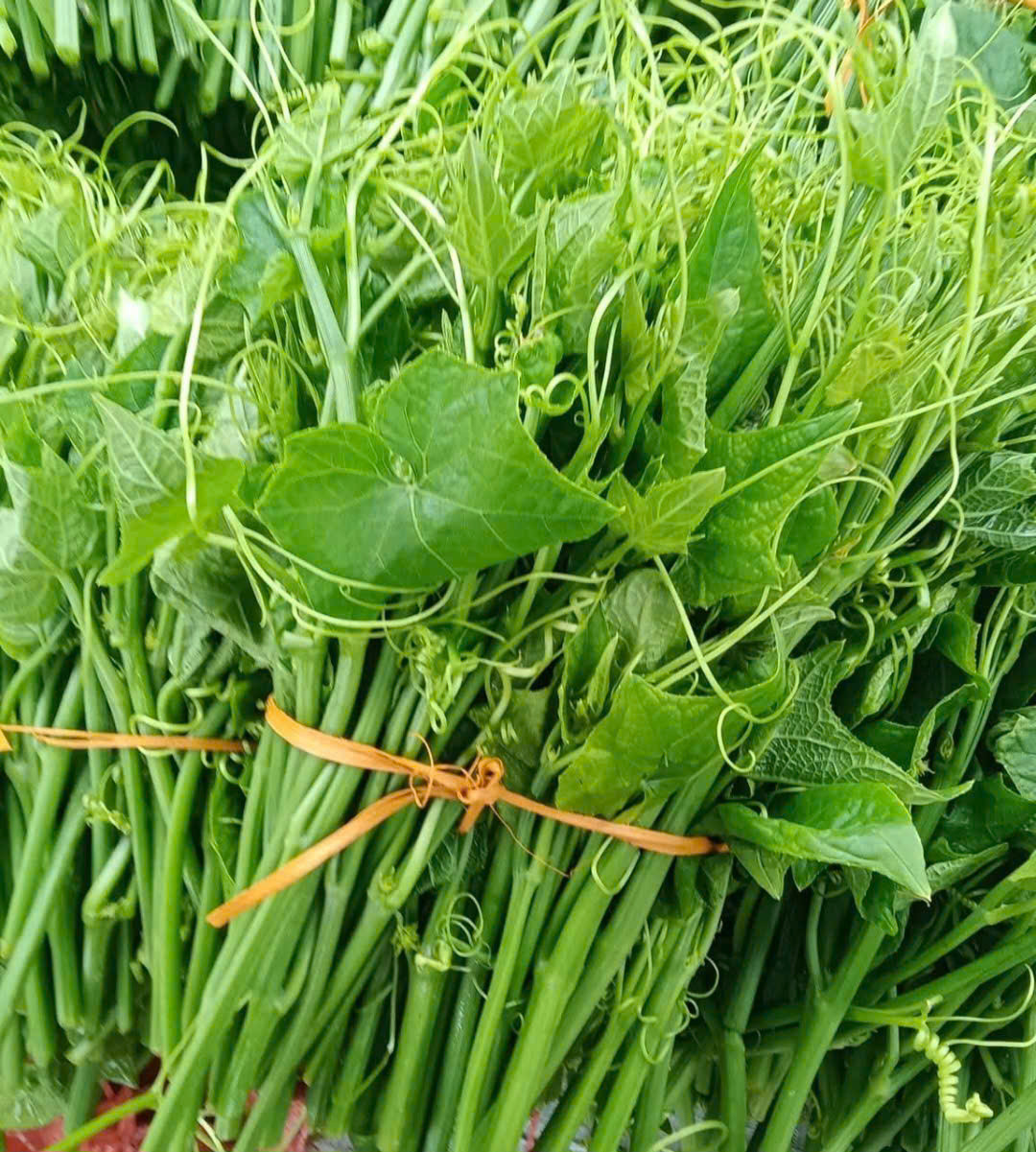 Ngọn su su của một người bán online ở Cao Bằng đang chờ giải cứu, giá 20 ngàn đồng/cân Ngọn su su của một người bán online ở Cao Bằng đang chờ giải cứu, giá 20 ngàn đồng/cân