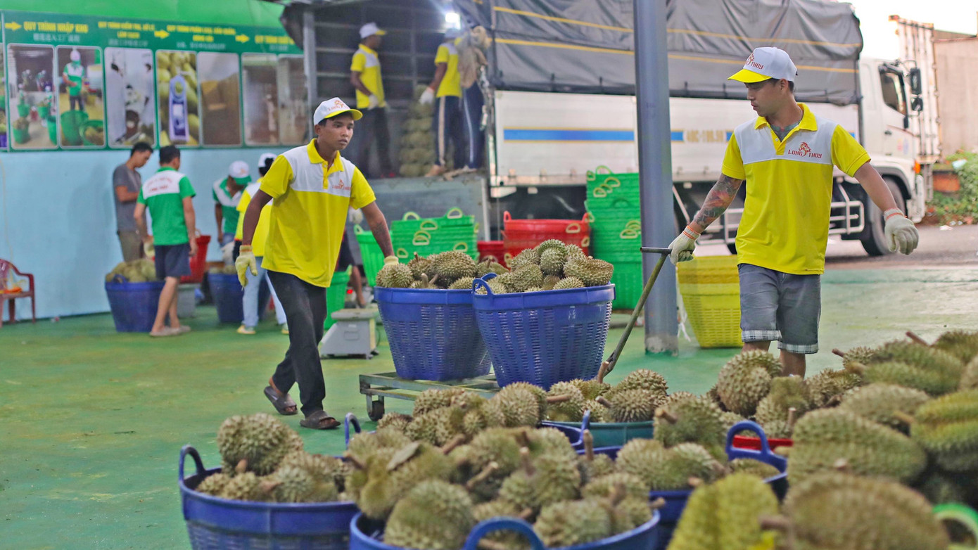 Các doanh nghiệp tốn kém và thiệt hại đáng kể vì rủi ro siết ATTP tại một số thị trường trọng điểm