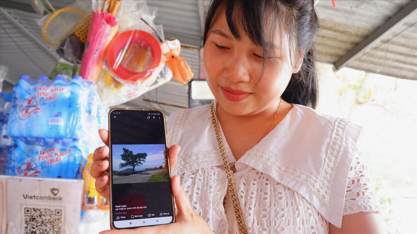 Thanh Tuyền và bức ảnh chụp cây thông “cô đơn” lúc còn xanh tươi. Ảnh: Nguyễn Thành