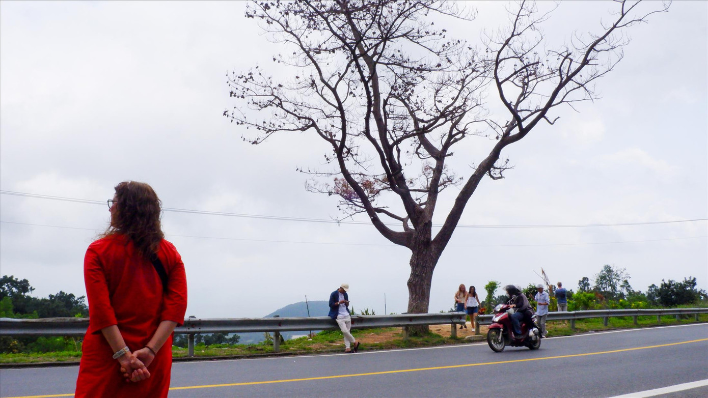 Dù đã khô héo nhưng cây thông “cô đơn” vẫn hút khách đến tham quan chụp hình trên đường lên Hải Vân quan. Ảnh: Nguyễn Thành