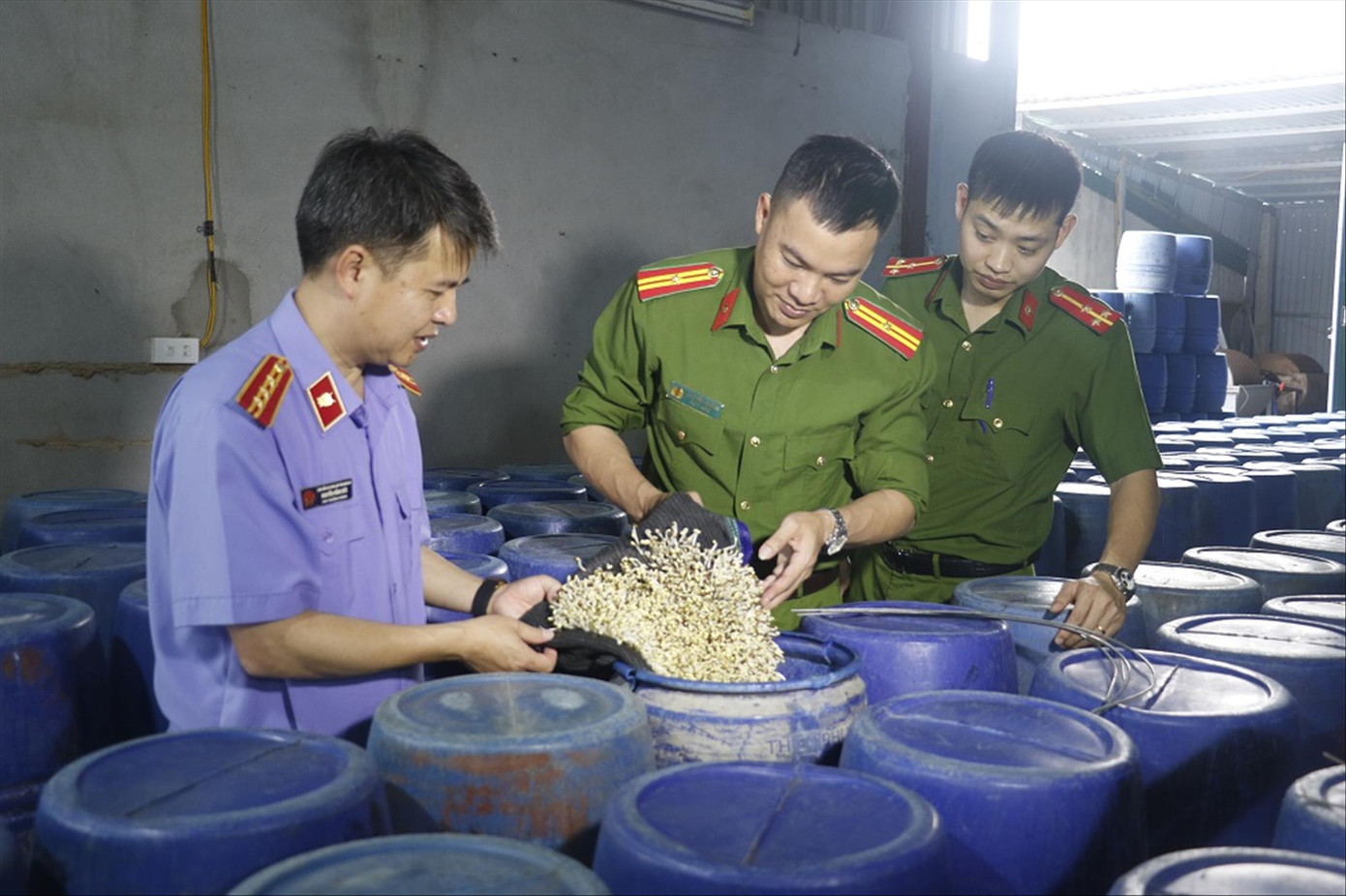 Lực lượng chức năng kiểm tra cơ sở sản xuất giá đỗ ngâm hóa chất ở thành phố Vinh, Nghệ An Lực lượng chức năng kiểm tra cơ sở sản xuất giá đỗ ngâm hóa chất ở thành phố Vinh, Nghệ An