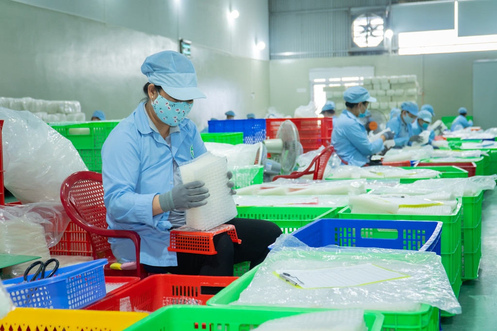 TPHCM tìm cách giúp DN tư nhân “cất cánh”, phát triển kinh tế. Ảnh: U.P. TPHCM tìm cách giúp DN tư nhân “cất cánh”, phát triển kinh tế. Ảnh: U.P.