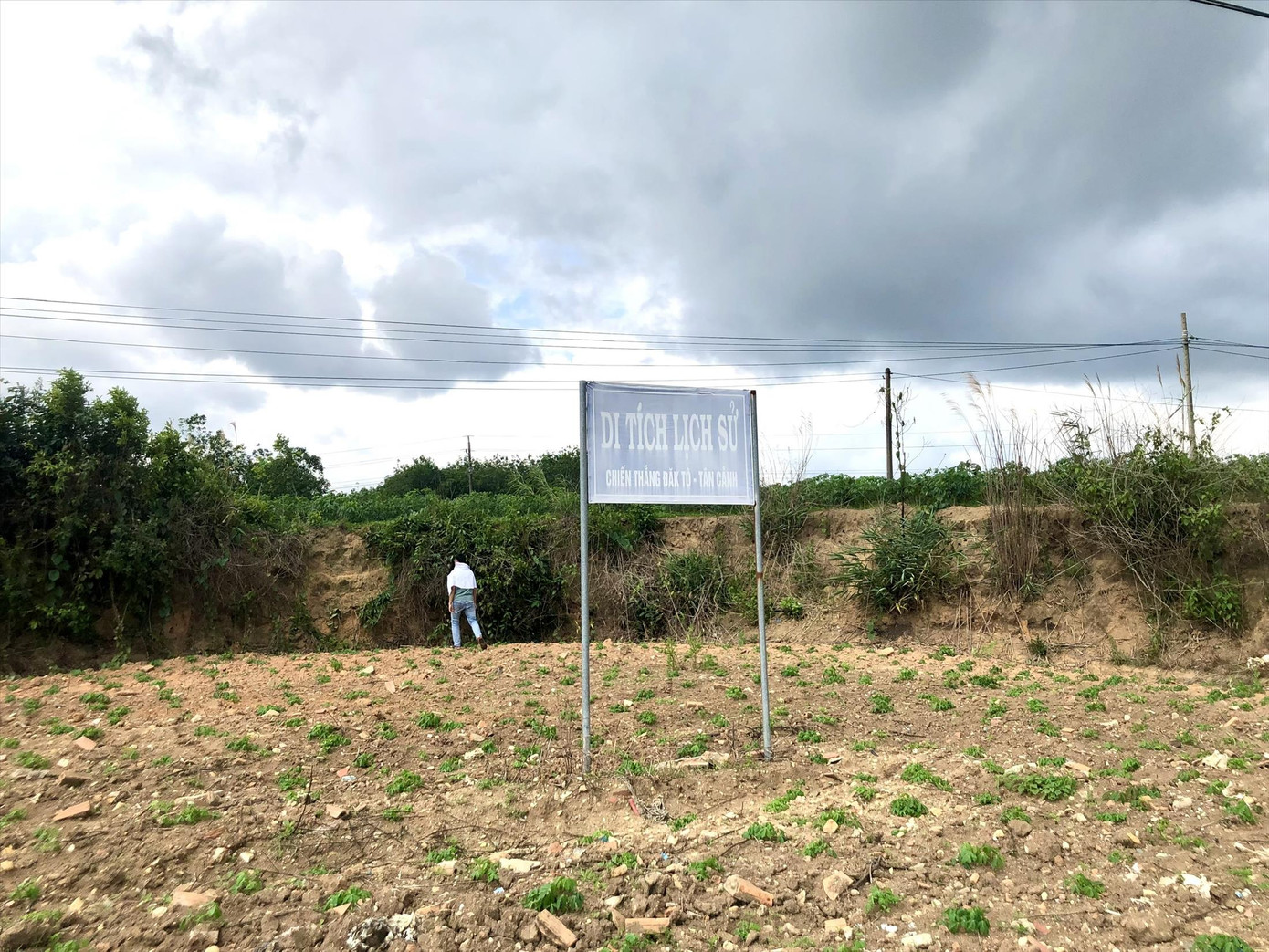 Người dân tự ý trồng cây mì trong khu vực di tích lịch sử quốc gia Chiến thắng Đăk Tô - Tân Cảnh Người dân tự ý trồng cây mì trong khu vực di tích lịch sử quốc gia Chiến thắng Đăk Tô - Tân Cảnh