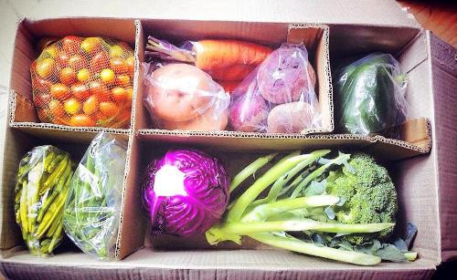 Các loại rau, củ quả sẽ được đóng thùng và gửi đến cho khách hàng. Các loại rau, củ quả sẽ được đóng thùng và gửi đến cho khách hàng