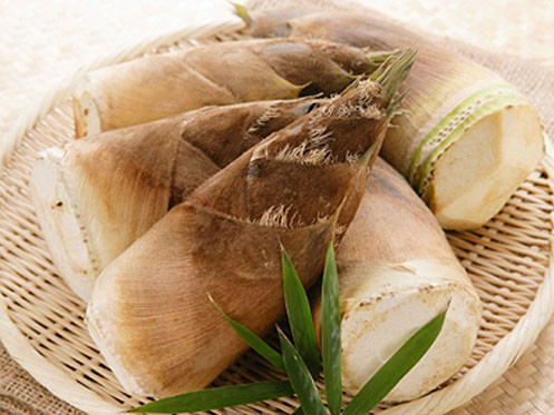 Nên chọn những củ măng còn tươi không bị dập nát. Ảnh: Internet