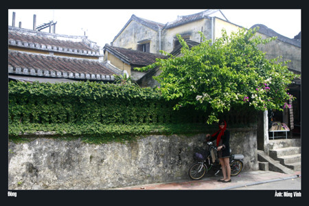 Xuân- Hạ- Thu –Đông. Ảnh: Hồng Vĩnh