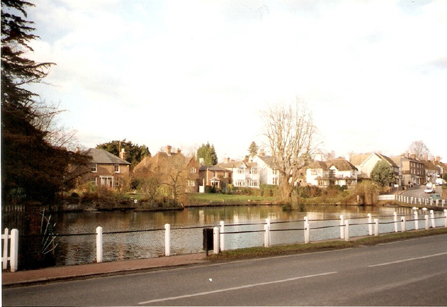  Ao làng, nơi vịt và thiên nga tung tăng bơi lội