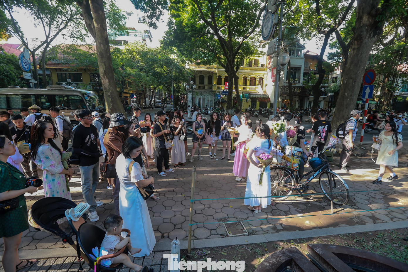 Lượng người đổ về con phố Phan Đình Phùng, Hoàng Diệu gần trưa và đầu giờ chiều đông nhất, bởi vào thời gian này, ánh nắng chiếu xuyên qua những tán cây tuyệt đẹp.