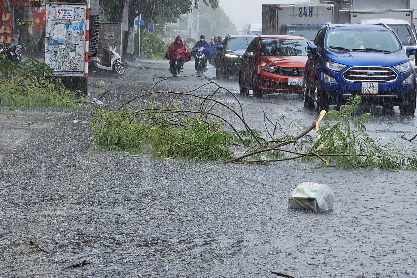 Cành cây đổ ra đường, gây khó khăn cho các phương tiện giao thông.
